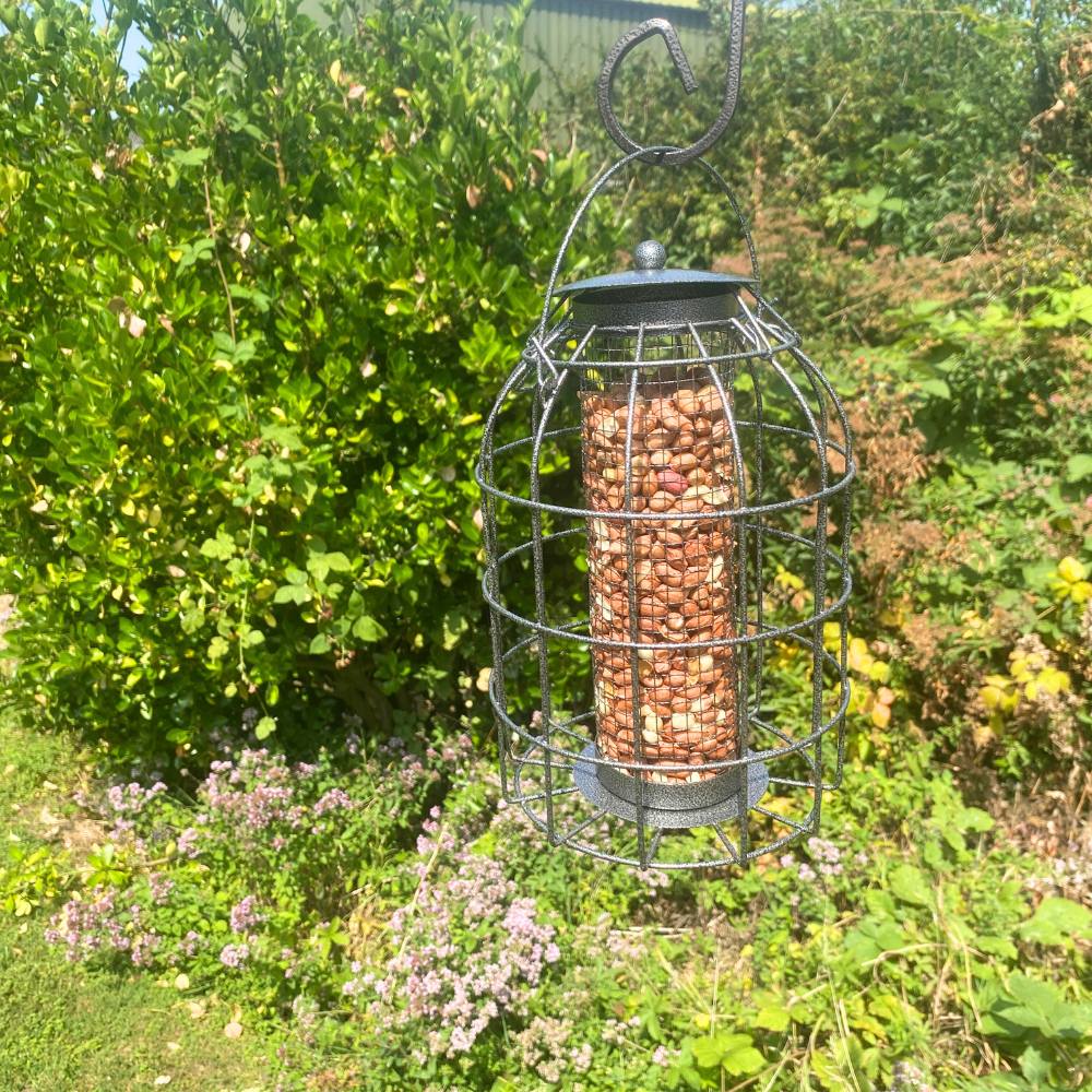 Squirrel Resistant Peanut Bird Feeder